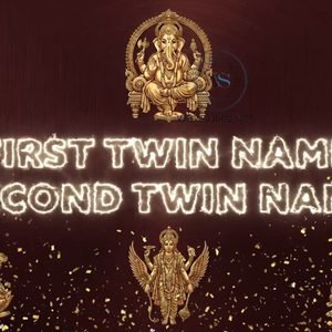 Twins Baby Name Reveal Video Twins Baby Name Reveal Video