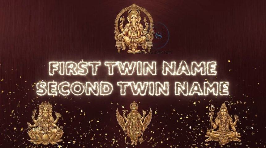 Twins Baby Name Reveal Video